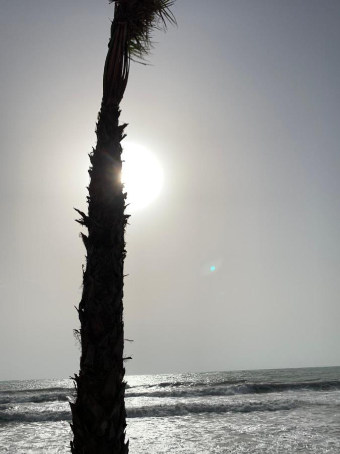 טורבייחה Apartaments Amalia On The Beach מראה חיצוני תמונה